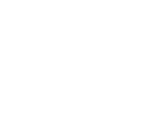 Future Fly