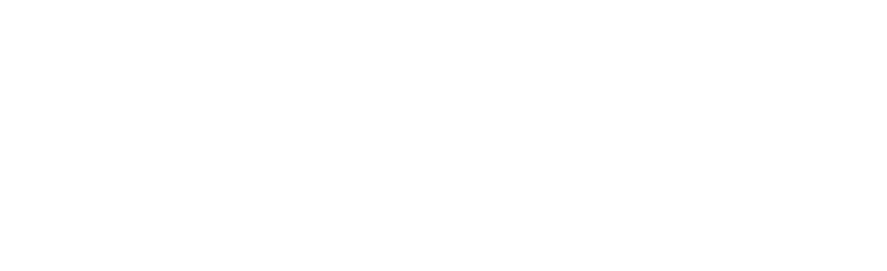 Fundashon Wega di Number Bonaire (FWNB)