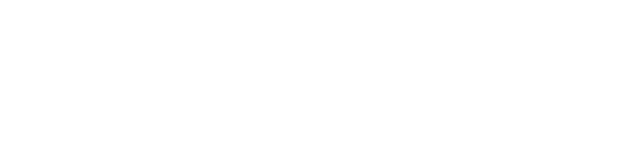 Phocoena Fins